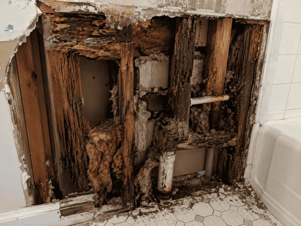 damaged bathroom wall and plumbing repair