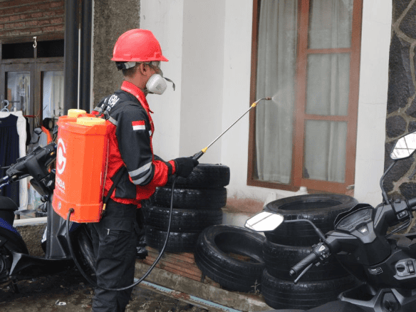 pest control spraying house